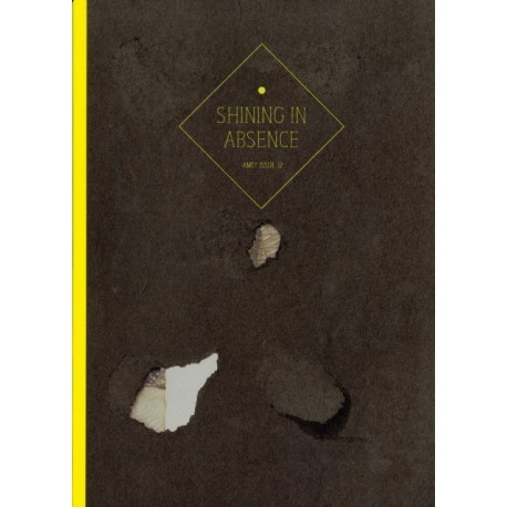 AMC2 Journal Issue 12: Shining in Absence