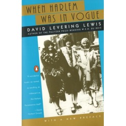 When Harlem Was in Vogue