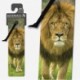 3D Bookmarks - African Lion