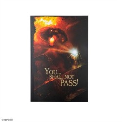 You... Shall not pass! Notebook