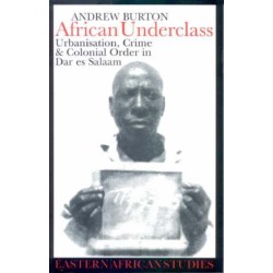 African Underclass: Urbanisation, Crime and Colonial Order in Dar es Salaam, 1919-61