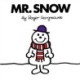 Mr. Snow