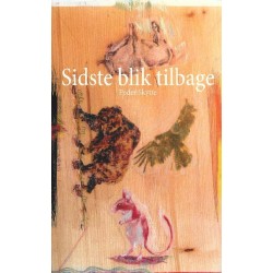Sidste blik tilbage