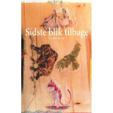 Sidste blik tilbage