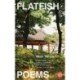 Flatfish: Poems