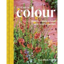 A Year of Colour: How to create a bold and bright garden