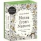 Johanna Basford's Notes from Nature: 30 Affirmations Cards to Colour
