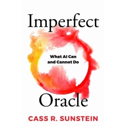 Imperfect Oracle: What AI Can and Cannot Do