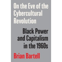 On the Eve of the Cybercultural Revolution: Black Power and Capitalism in the 1960s