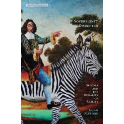 Sovereignty Disrupted: Spinoza and the Disparity of Reality