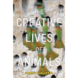 The Creative Lives of Animals