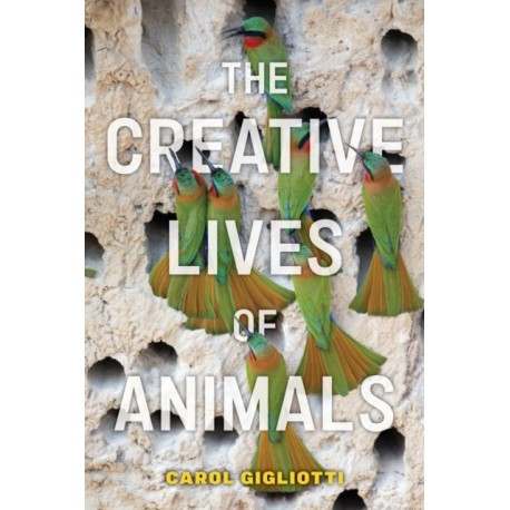 The Creative Lives of Animals