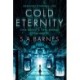 Cold Eternity