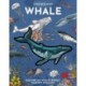 Inside Out Whale: Discover the World's Biggest, Smartest Swimmers