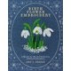 Birth Flower Embroidery: A Month-by-Month Celebration of Floral Embroidery