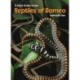 A Field Guide to the Reptiles of Borneo