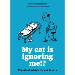 My cat is ignoring me!?: Practical advice for cat lovers