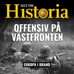Offensiv på Västfronten