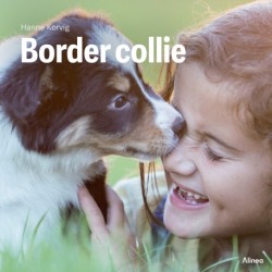 Border collie, Grøn Fagklub
