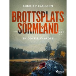 Brottsplats Sörmland. 3, En odyssé av brott