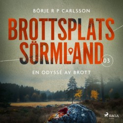 Brottsplats Sörmland. 3, En odyssé av brott