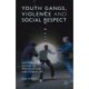 Youth Gangs, Violence and Social Respect: Exploring the Nature of Provocations and Punch-Ups