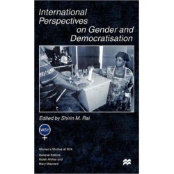 International Perspectives On Gender and Democratisation