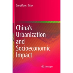 China’s Urbanization and Socioeconomic Impact