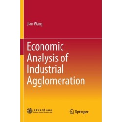 Economic Analysis of Industrial Agglomeration