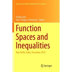 Function Spaces and Inequalities: New Delhi, India, December 2015