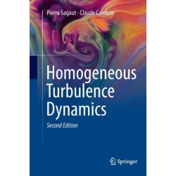 Homogeneous Turbulence Dynamics