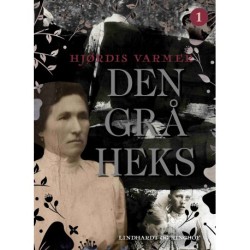 Den grå heks (1)