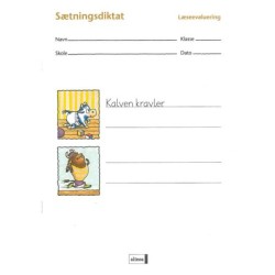 Læseevaluering på begyndertrinnet. Sætningsdiktat