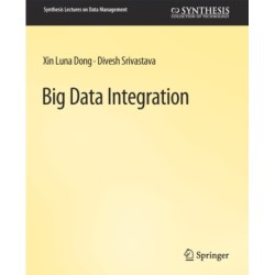 Big Data Integration