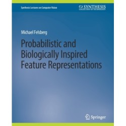 Probabilistic and Biologically Inspired Feature Representations