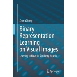 Binary Representation Learning on Visual Images: Learning to Hash for Similarity  Search