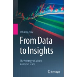 From Data to Insights: The Strategy of a Data Analytics Team