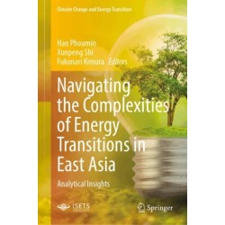 Navigating the Complexities of Energy Transitions in East Asia: Analytical Insights