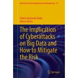 The Implication of Cyberattacks on Big Data and How to Mitigate the Risk