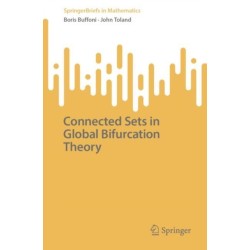 Connected Sets in Global Bifurcation Theory