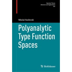 Polyanalytic Type Function Spaces