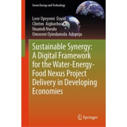 Sustainable Synergy: A Digital Framework for the Water-Energy-Food Nexus Project Delivery in Developing Economies