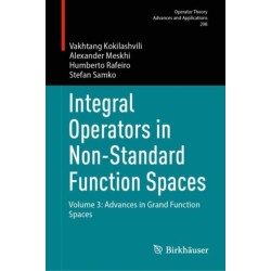 Integral Operators in Non-Standard Function Spaces: Volume 3: Advances in Grand Function Spaces