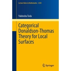 Categorical Donaldson-Thomas Theory for Local Surfaces