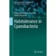 Halotolerance in Cyanobacteria