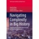 Navigating Complexity in Big History: Exploring Periodization Across Cosmic and Biosocial Dimensions