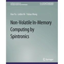 Non-Volatile In-Memory Computing by Spintronics