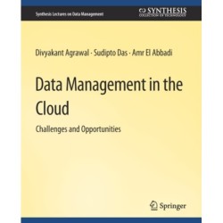 Data Management in the Cloud