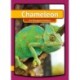 Chameleon