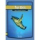 Turtles
